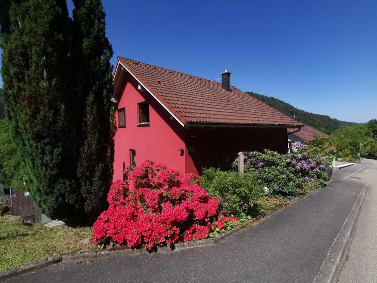 Ferienwohnung Am Rubersbach Hornberg Exterior photo
